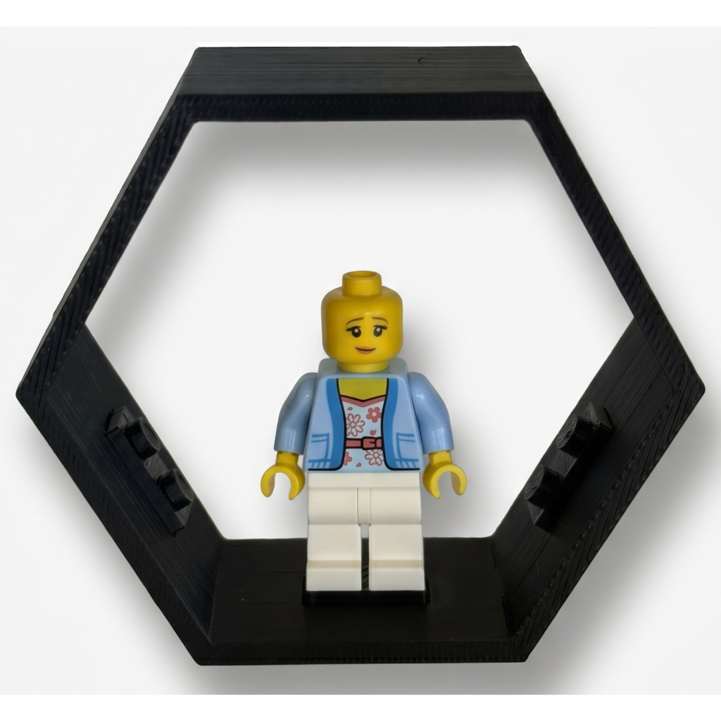 Outback Bricks - Hex Displays Modules