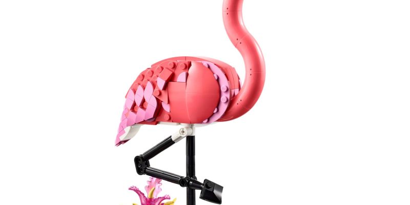 Wild Animals: Pink Flamingo 31170